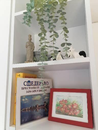 Anka Apartman Σμεντέρεβο Εξωτερικό φωτογραφία