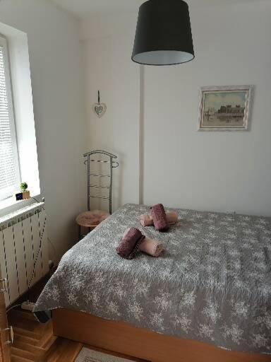 Anka Apartman Σμεντέρεβο Εξωτερικό φωτογραφία